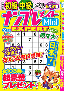 ナンプレメイトMini EXPERT